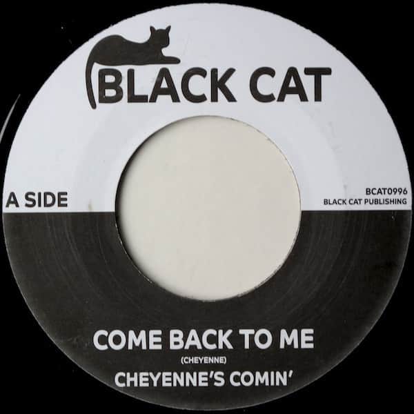Cheyenne's Comin' & Hanson - Come Back To Me / Take Me To Your Home