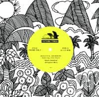 Beautiful Swimmers & John Davis - Open Shadow