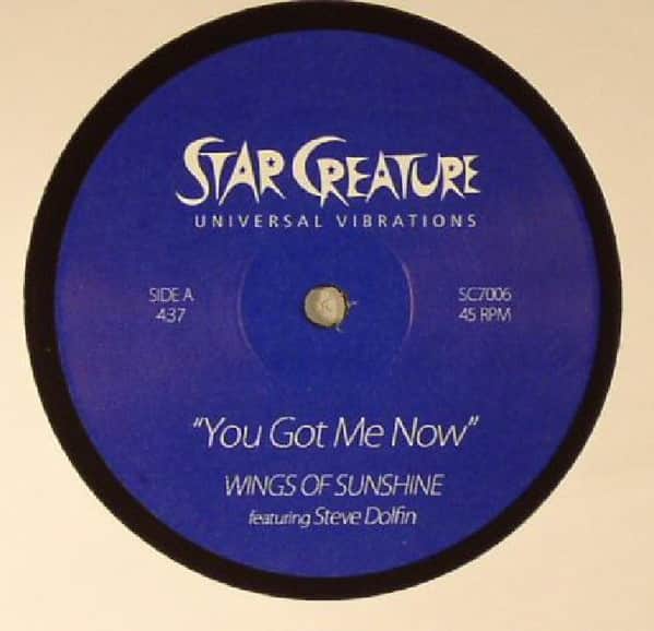 Wings Of Sunshine & Steve Dolfin - You Got Me Now / Magic Of The Funk