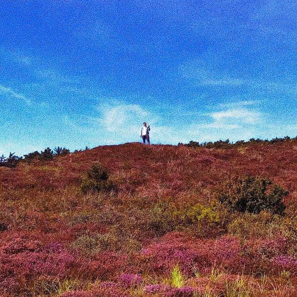 Dreamcast - Floral Place