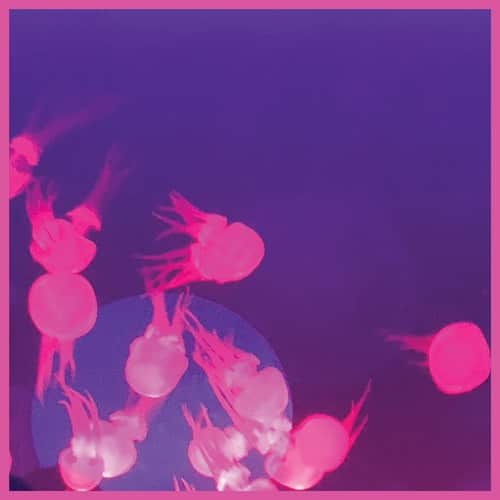 Mall Grab & Nite Fleit - Moogie