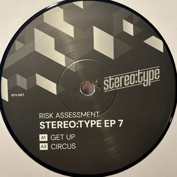 Risk Assessment - Stereo:type EP 7