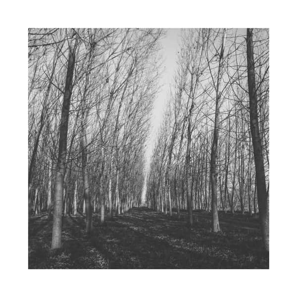 Various - Untitled