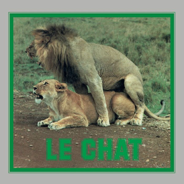 Pussycat - Le Chat