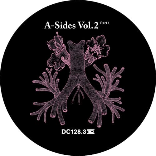 Various Artists - A Sides Volume II Pt 3