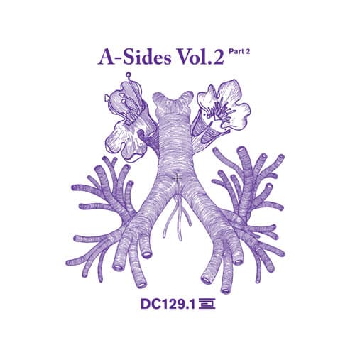 Various Artists - A Sides Volume II Pt 1