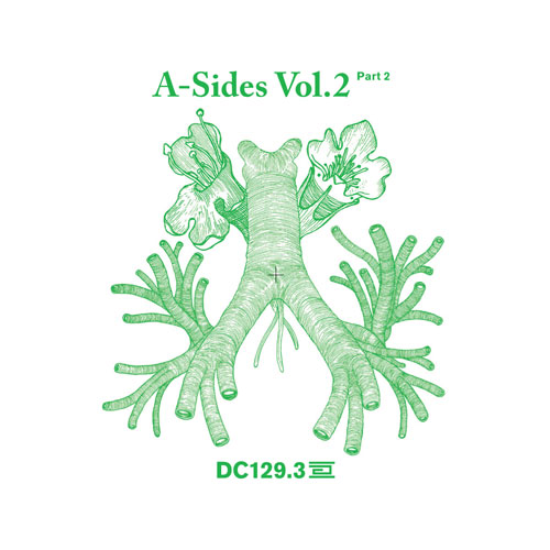A Sides Volume II Pt 3