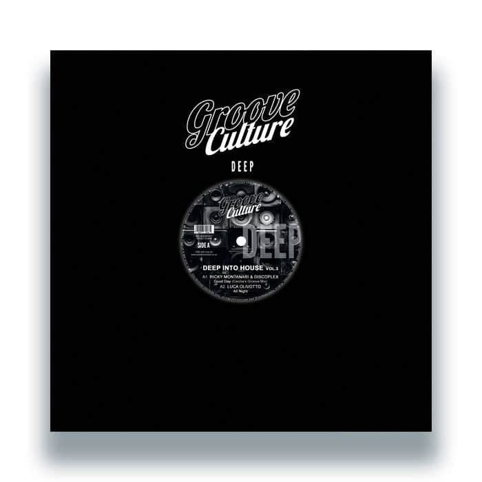 Ricky Montanari & Discoplex / Luca Olivotto / Gianni Bini - Deep Into House Vol.3