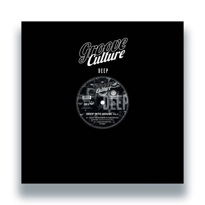 Ricky Montanari & Discoplex / Luca Olivotto / Gianni Bini - Deep Into House Vol.3