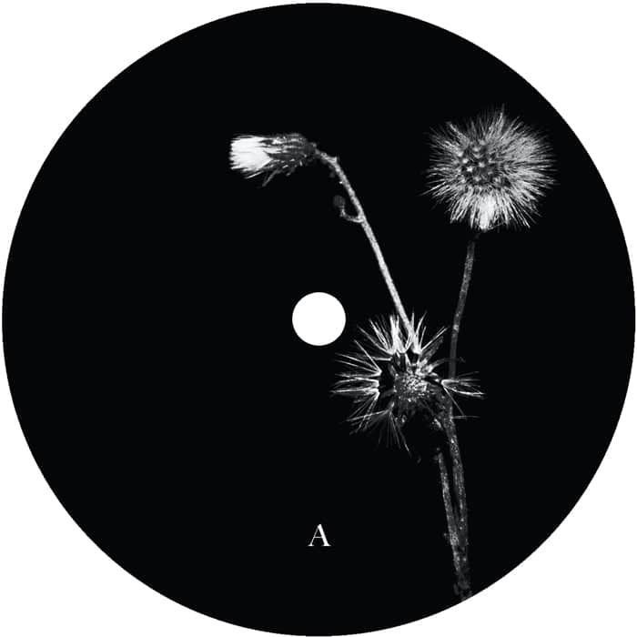 Jon Dasilva and Skyskrapa Feat. Donald Waugh - Sun Brings Joy