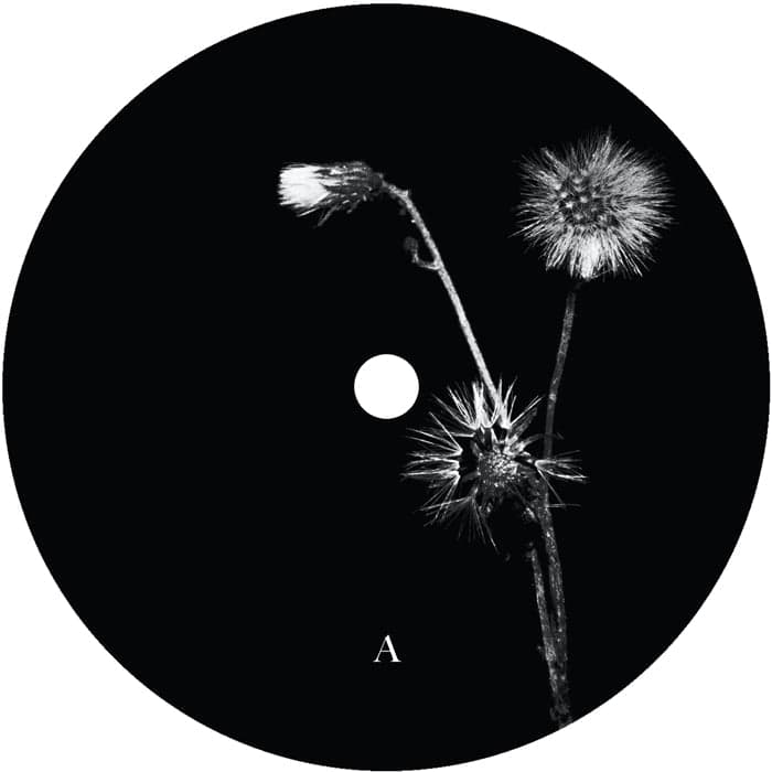 Jon Dasilva and Skyskrapa Feat. Donald Waugh - Sun Brings Joy