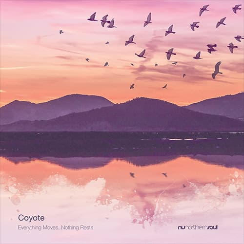 Coyote - Everything Moves, Nothing Rests