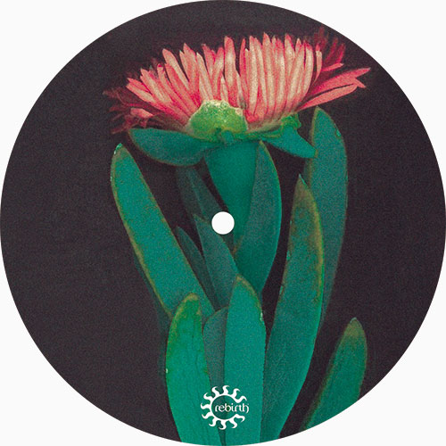 Lido Iride EP