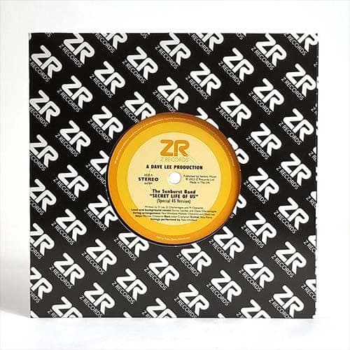 The Sunburst Band & Dave Lee & Maurissa Rose - Secret Life Of Us / Look At The Stars